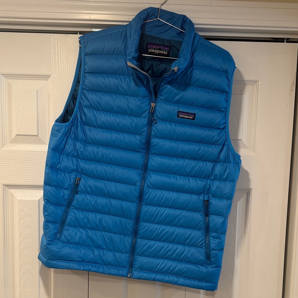 Patagonia Vibrant Blue Quilted Vest